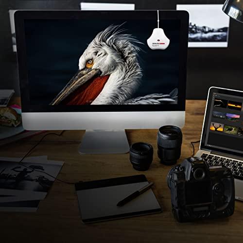 Datacolor SpyderX Elite – Monitor Calibration Designed for Expert and Professional Photographers and Motion Imagemakers SXE100